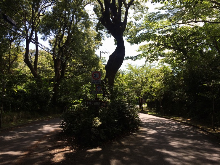 20140818_044228000_iOS