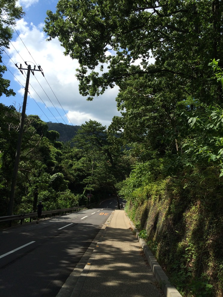 20140818_045255000_iOS