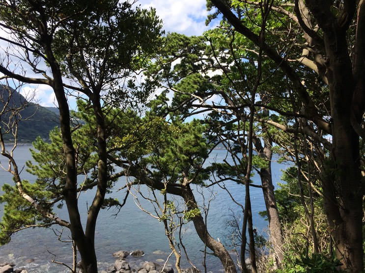 20140818_045916000_iOS