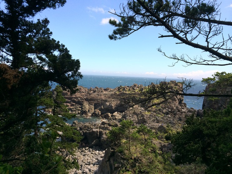 20140818_050842000_iOS