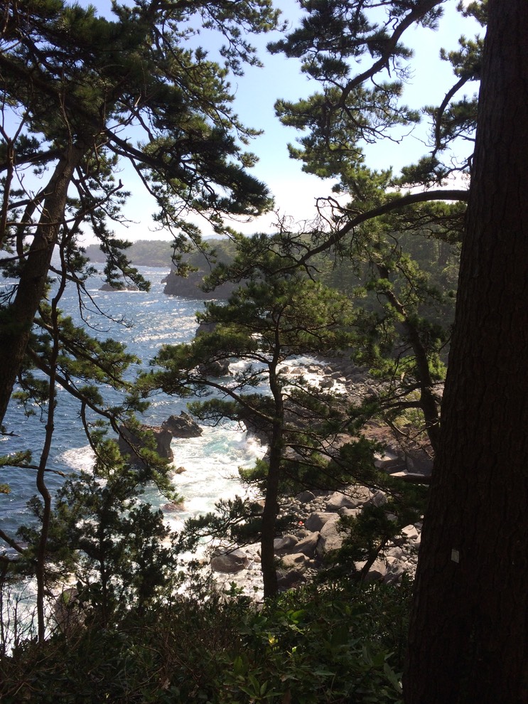 20140818_051945000_iOS