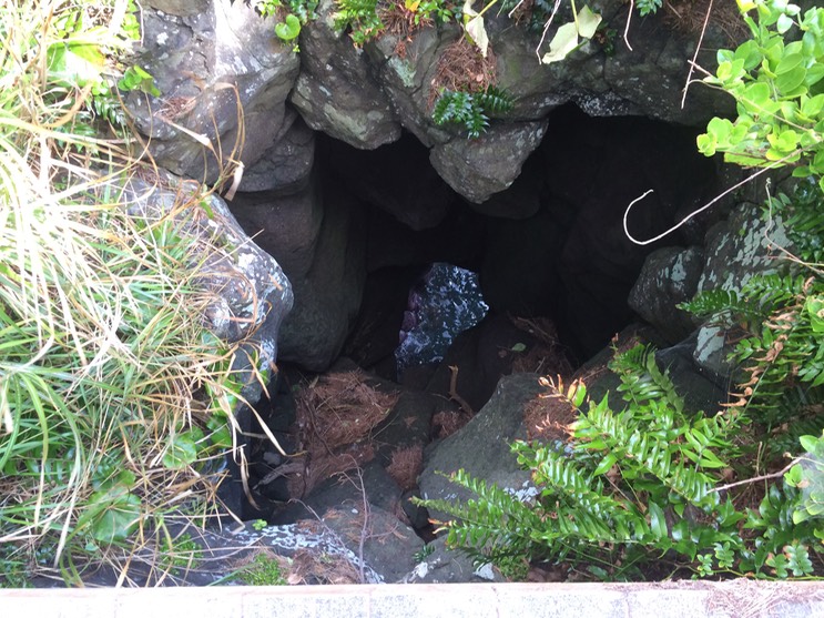 20140818_052507816_iOS