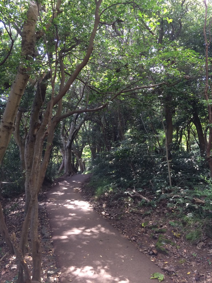 20140818_052819514_iOS