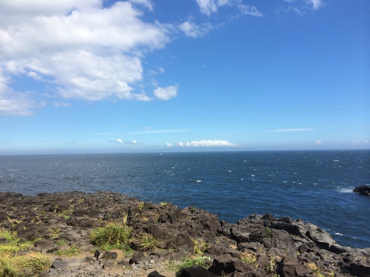 20140818_053309558_iOS