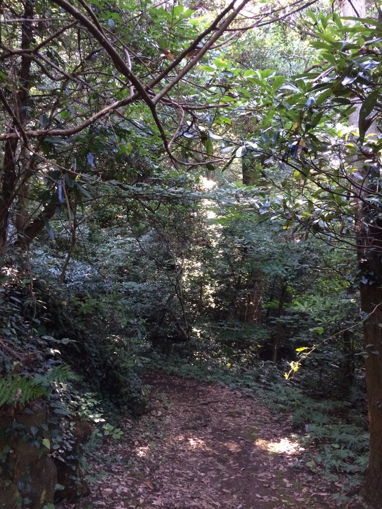 20140818_055019960_iOS