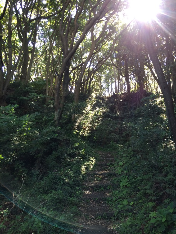 20140818_060037653_iOS