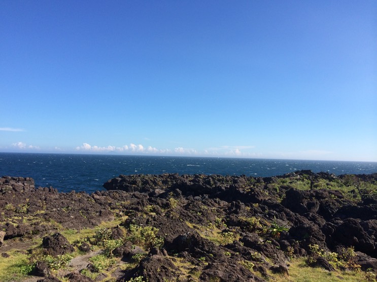 20140818_061630652_iOS