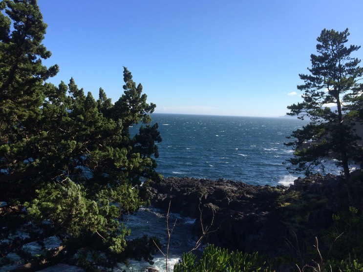 20140818_063028477_iOS