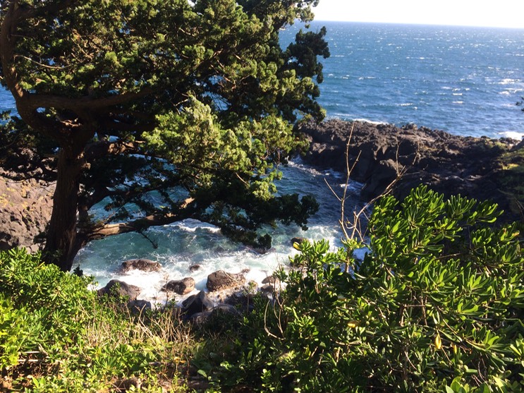 20140818_063030089_iOS