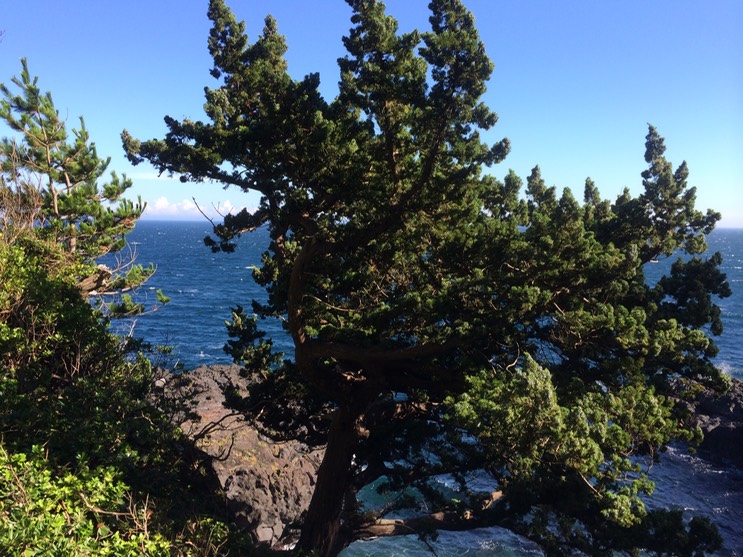 20140818_063034417_iOS