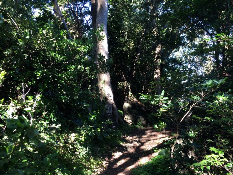 20140818_063436281_iOS