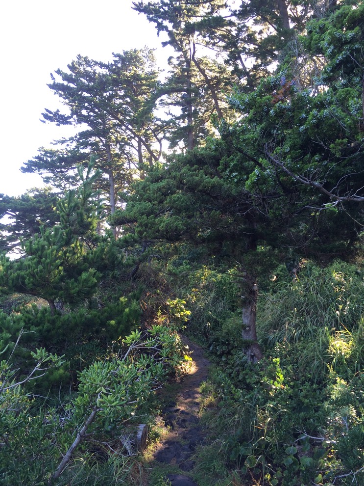 20140818_063752000_iOS