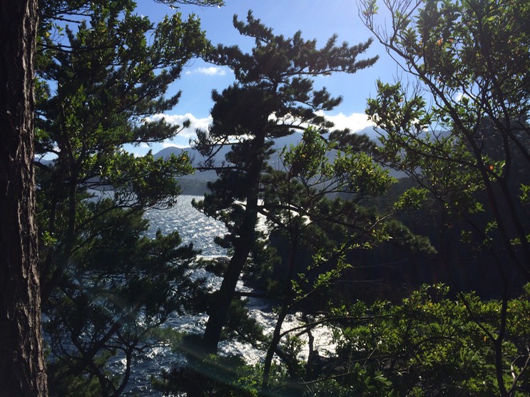 20140818_064622000_iOS