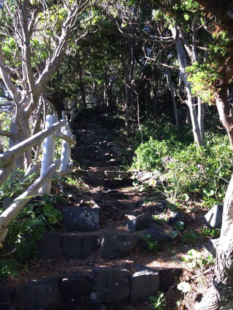 20140818_065205000_iOS