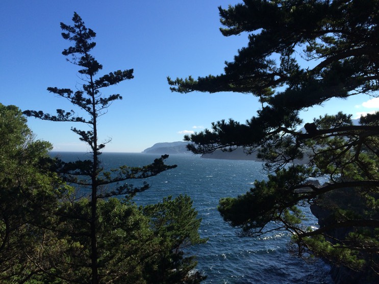 20140818_070327000_iOS