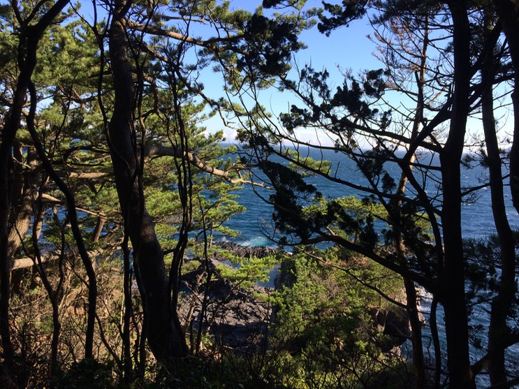 20140818_070955000_iOS