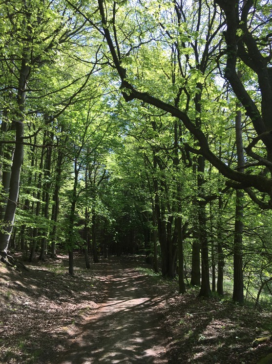 20160505_103542450_iOS