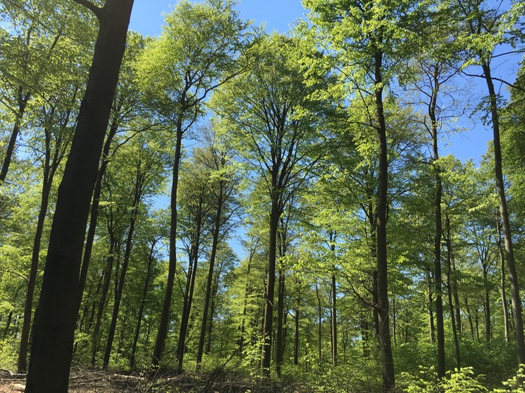 20160505_104546592_iOS