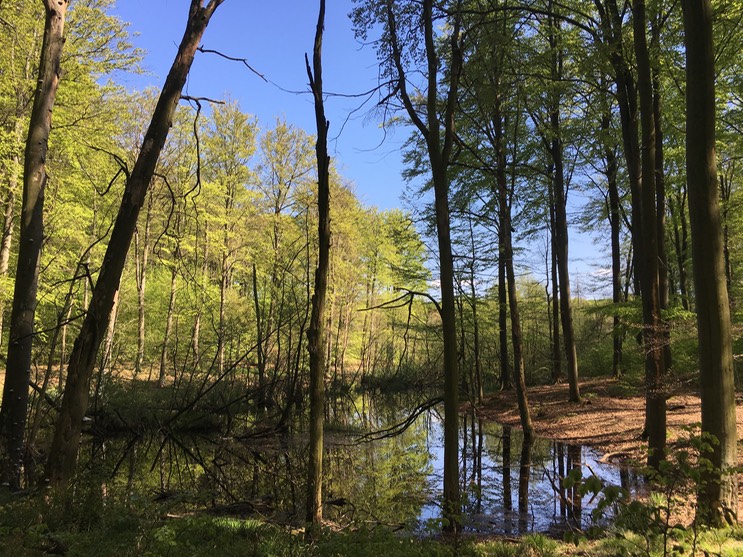 20160505_133223765_iOS