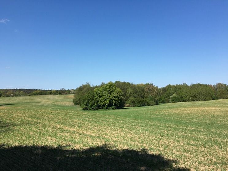 20160505_133622847_iOS