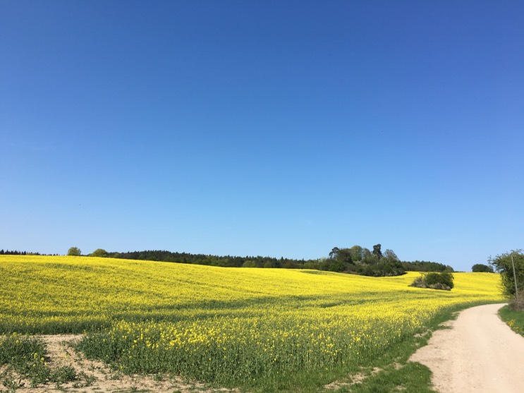 20160505_134406422_iOS