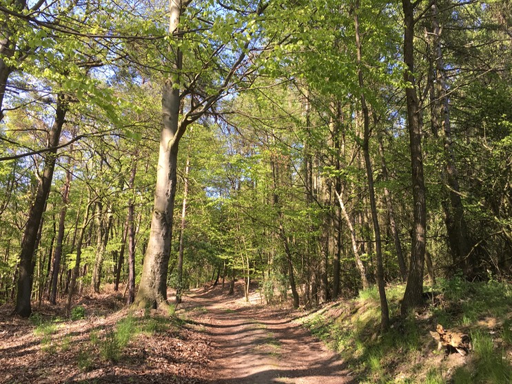 20160505_140042933_iOS