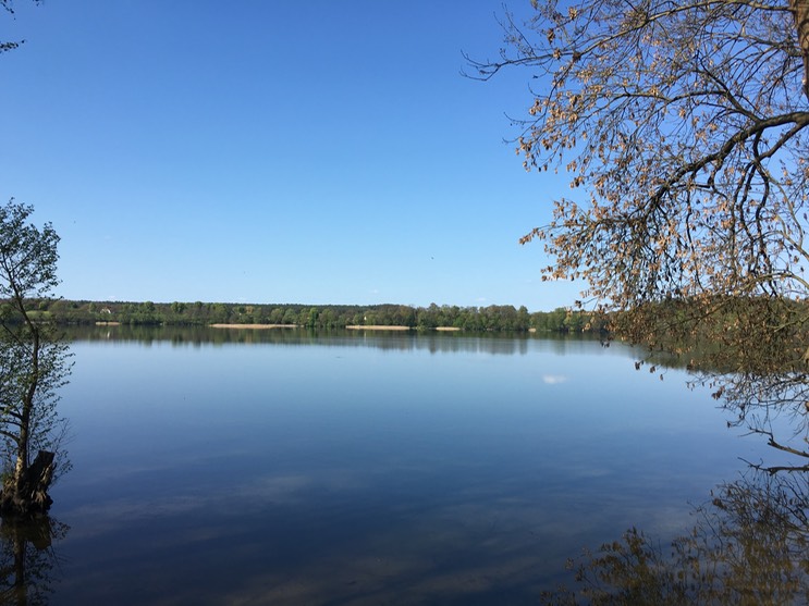 20160505_143849706_iOS