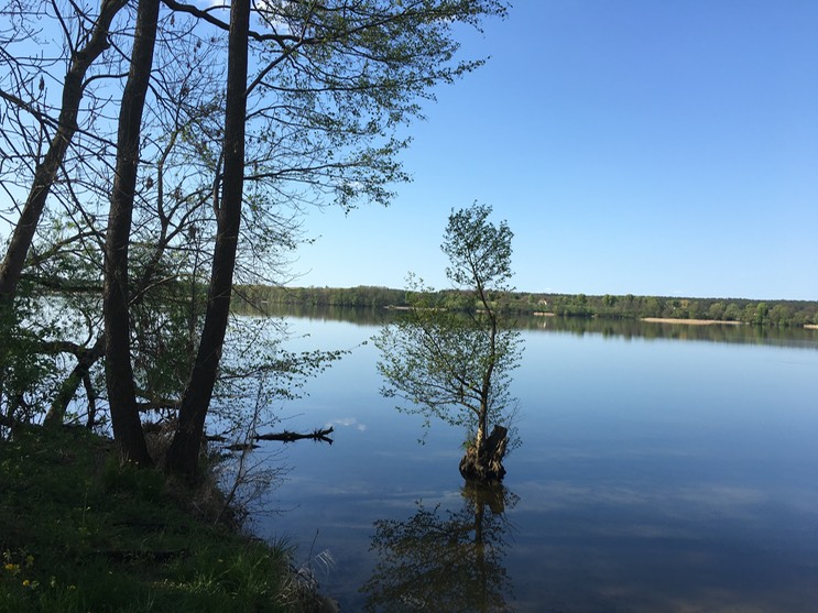 20160505_143901681_iOS