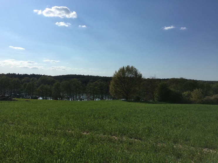 20160505_145352397_iOS