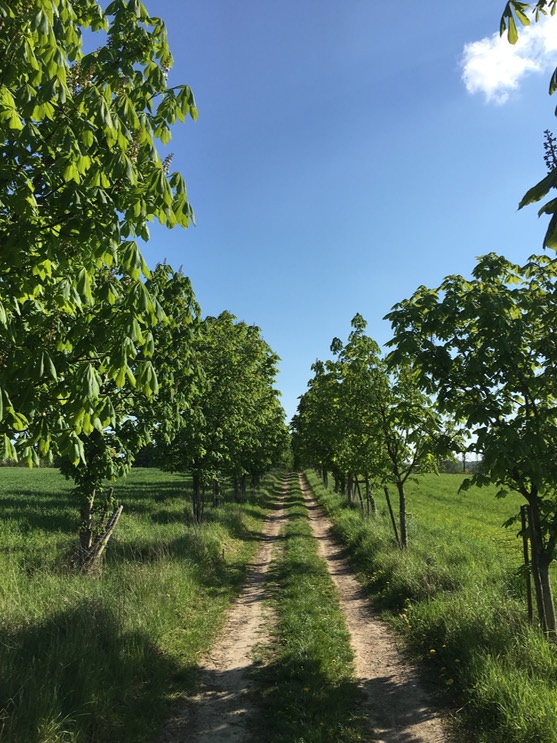 20160505_145506573_iOS