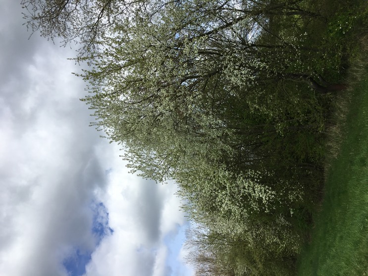 2017-04-14_13-36-21_620