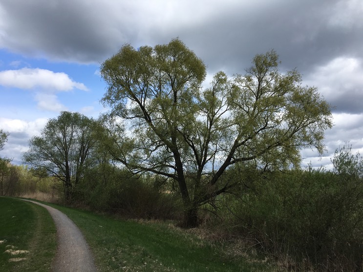 2017-04-14_13-51-06_087