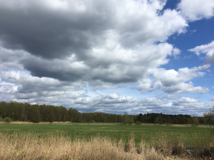 2017-04-14_13-52-28_021