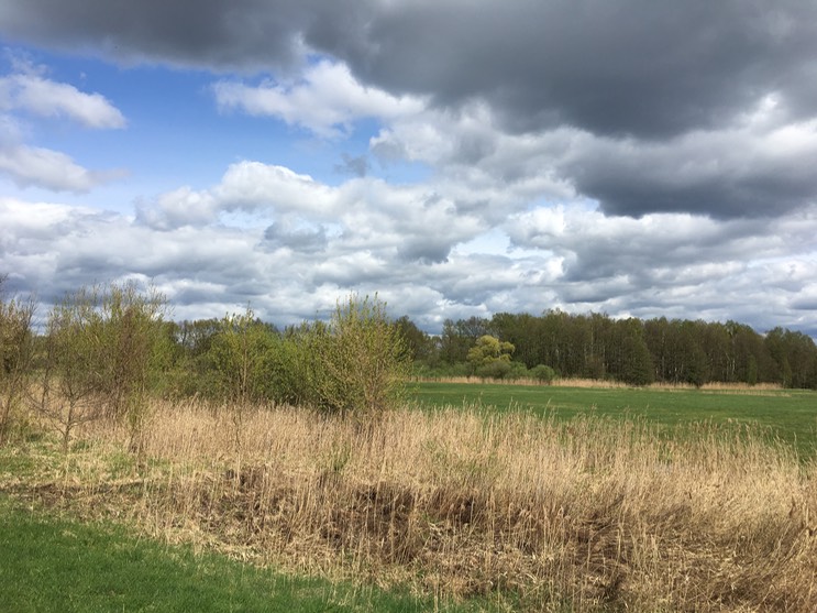 2017-04-14_13-52-30_289