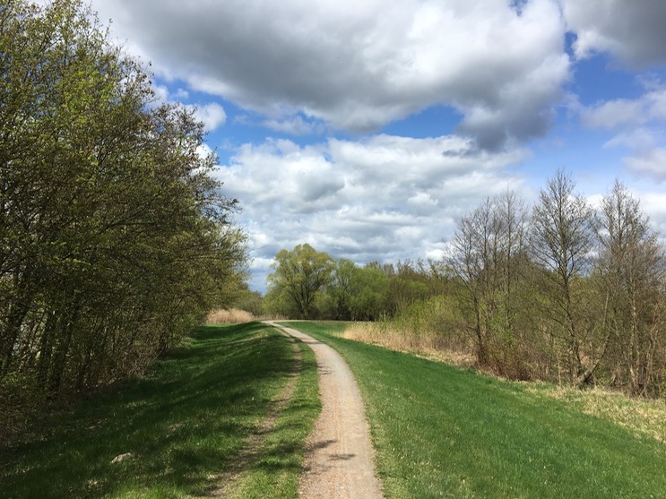 2017-04-14_13-52-35_960