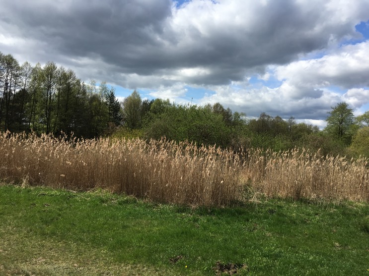 2017-04-14_13-53-52_721