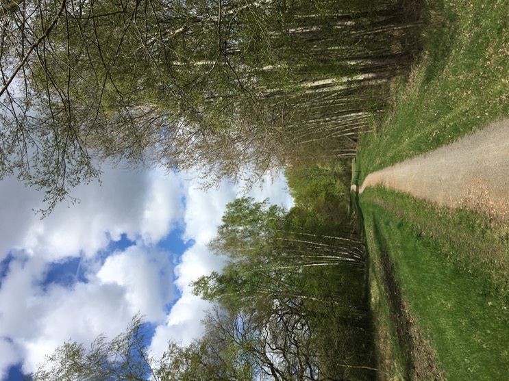 2017-04-14_13-55-50_730