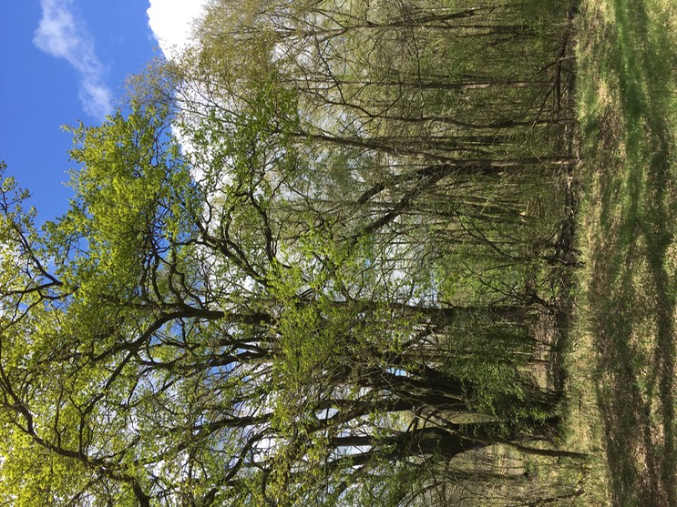 2017-04-14_13-58-23_053