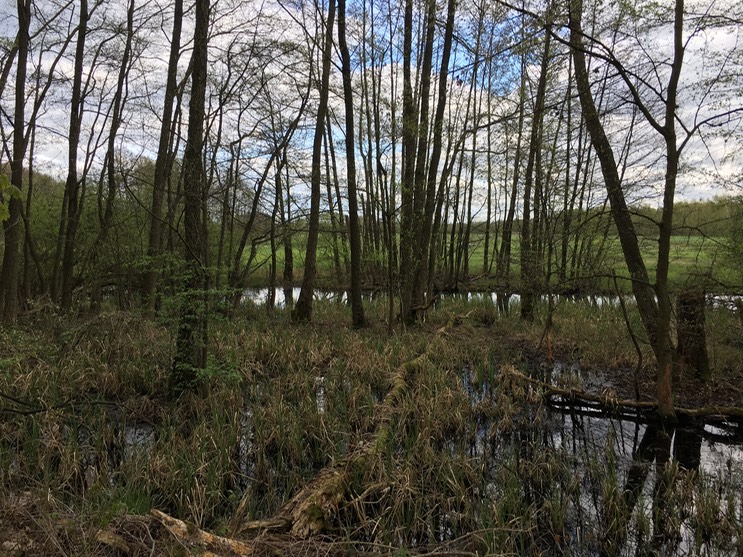 2017-04-14_14-03-11_480