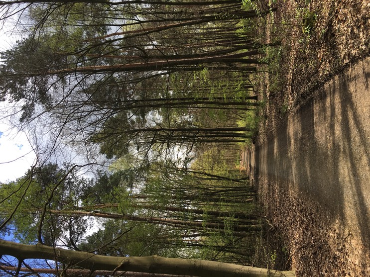 2017-04-14_14-09-44_090