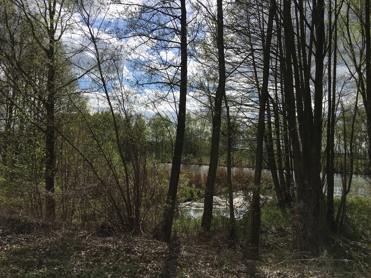 2017-04-14_14-23-35_970