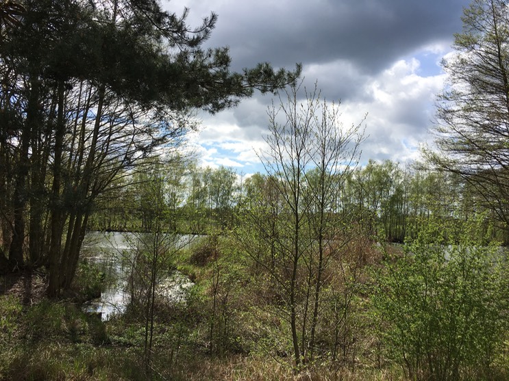 2017-04-14_14-23-58_553