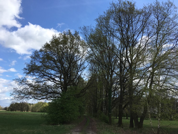 2017-04-14_14-47-51_514