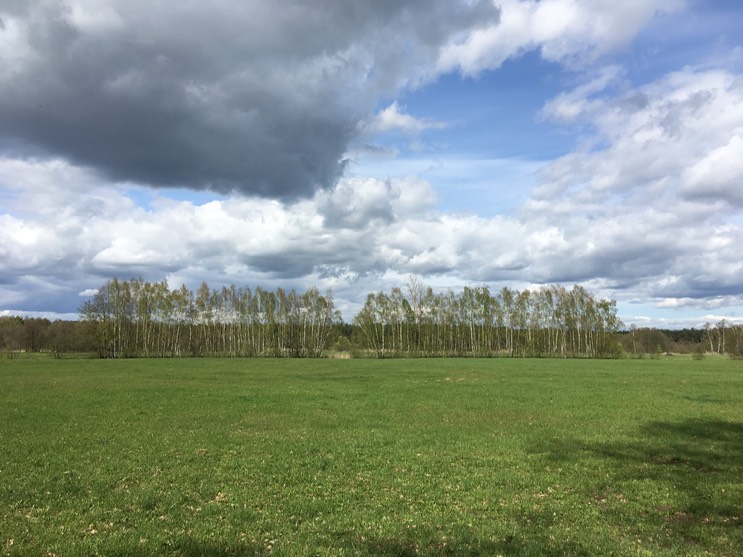 2017-04-14_14-51-24_133