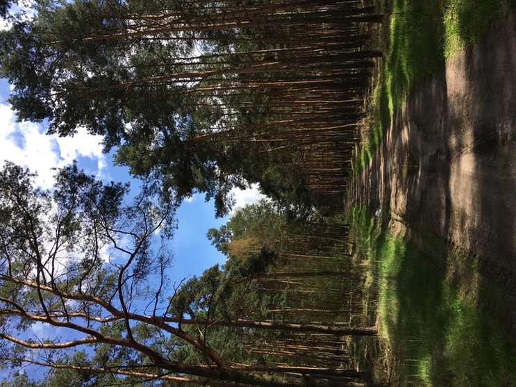 2017-04-14_15-01-34_484