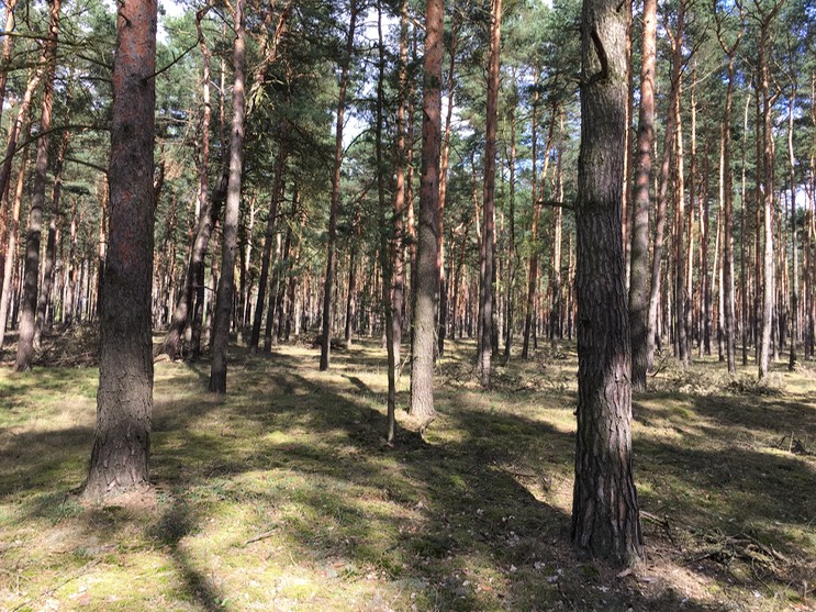 2017-04-14_15-01-44_357