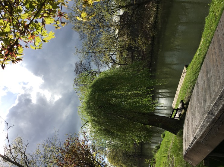 2017-04-14_15-42-09_826