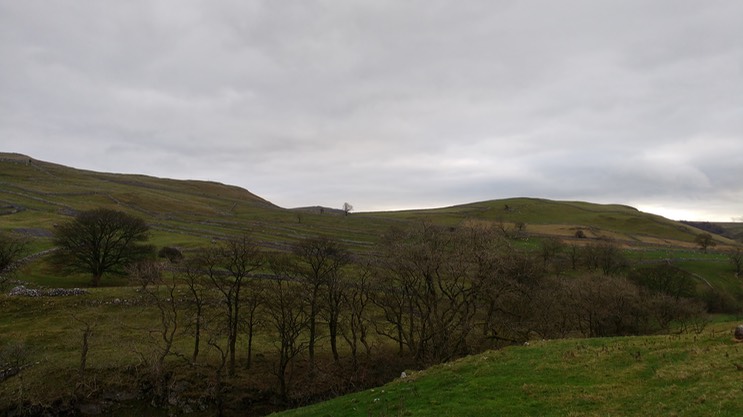 IMG_20161231_124156653