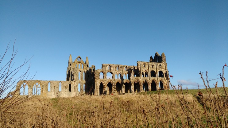 IMG_20170102_122537587