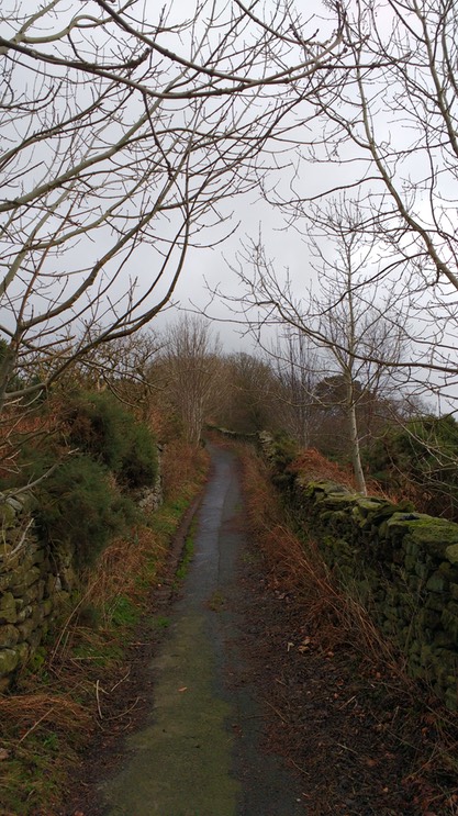 IMG_20170103_121329154